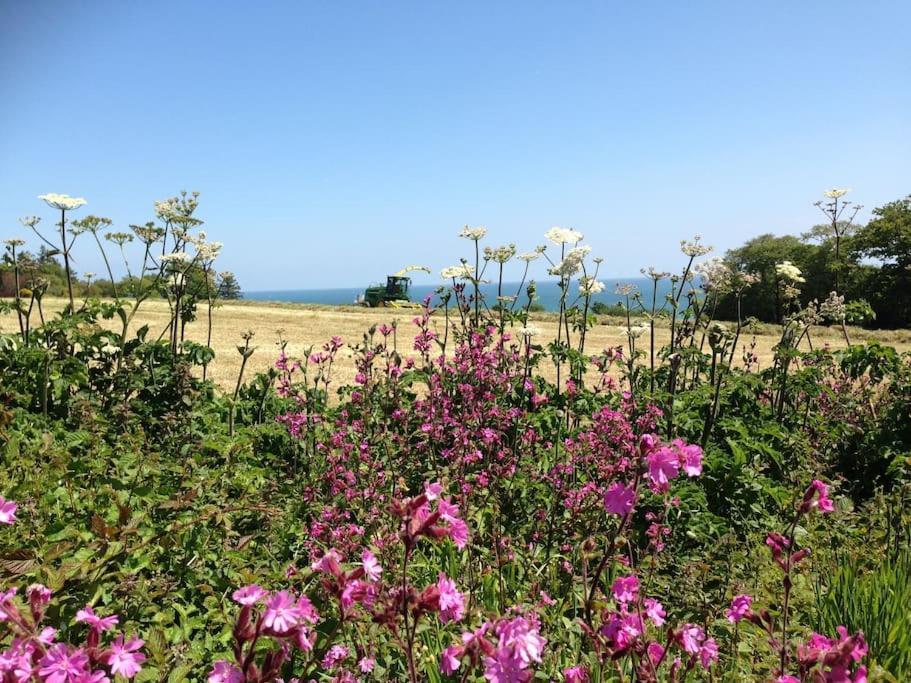 Little Bream - Pretty Cosy Cottage, Sea Views, Walk To The Beach Mawnan Smith Экстерьер фото